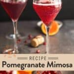Pomegranate Mimosa Pin
