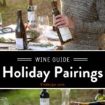 Holiday Roast Wine Pairings Pin