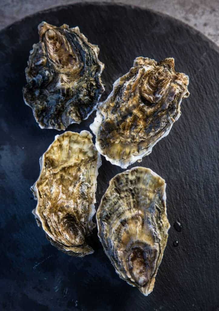 Whole shelled raw oysters