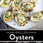 Grilled Oysters pin