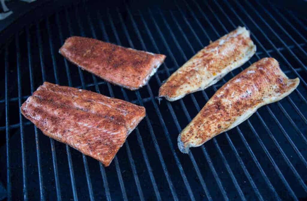 Steelhead Trout and Rainbow Trout on the smoker