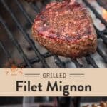 Blue Cheese Filet Mignon Pin