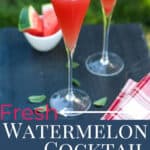 watermelon cocktail pin image with text