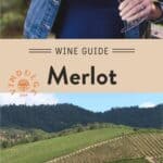 Merlot Wine Guide pin
