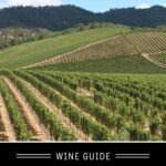 Merlot Wine Guide pin