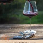 Merlot Wine Guide pin