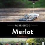 Merlot Wine Guide pin