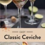 Ceviche Pinterest Pin