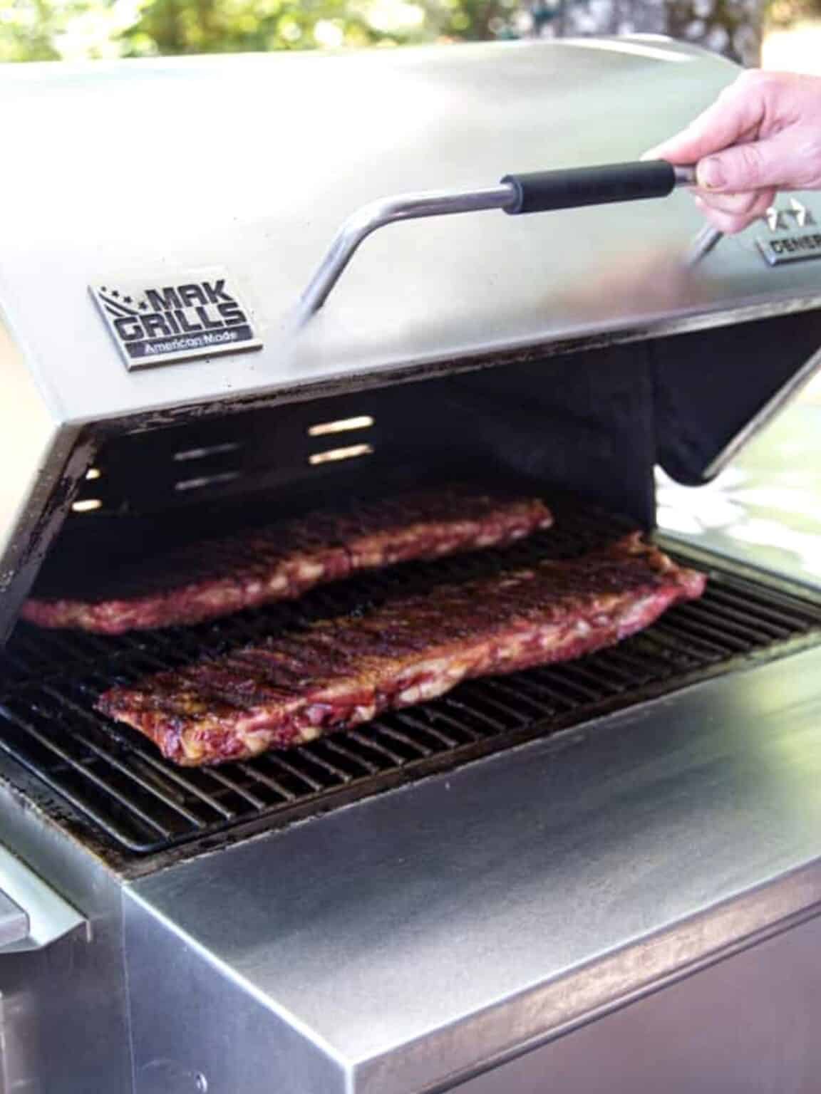 Learn the Basics of TwoZone Grilling Vindulge