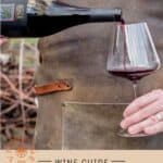 Petite Sirah Wine Guide Pin