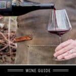 Petite Sirah Wine Guide Pin