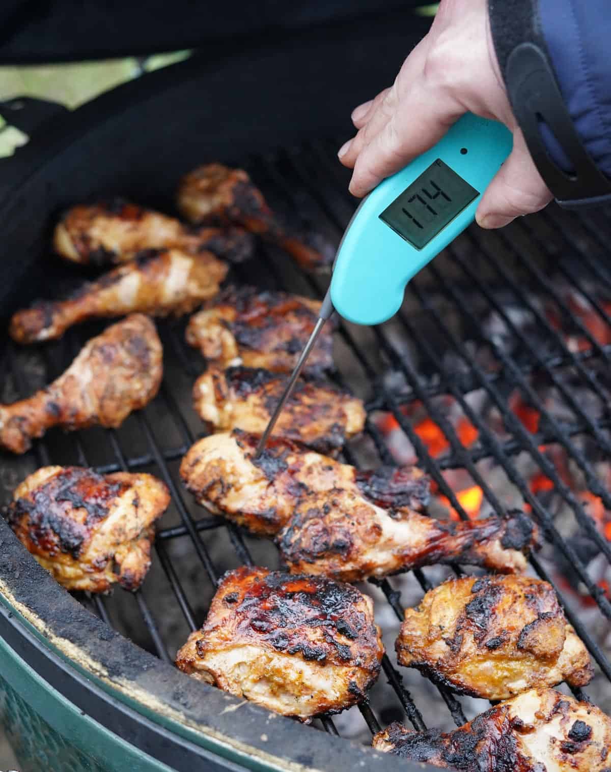 Checking the temperature of chicken with a thermapen digital thermometer 
