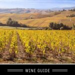 Chardonnay Wine Guide Pinterest Pin