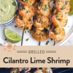 Grilled Shrimp Pinterest Pin