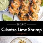 Grilled Shrimp Pinterest Pin