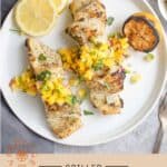 Grilled Halibut Pin