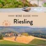 Riesling Wine Guide pin