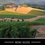 Riesling Wine Guide pin