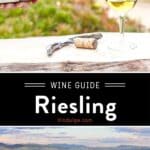 Riesling Wine Guide pin