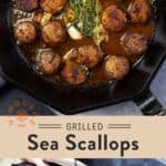 Grilled Sea Scallops Pin