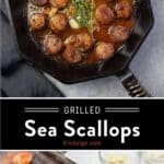 Grilled Sea Scallops Pin