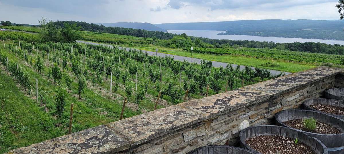 Finger Lakes Wine Region vineyards photo of Keuka Lake at Dr. Konstantin Frank.