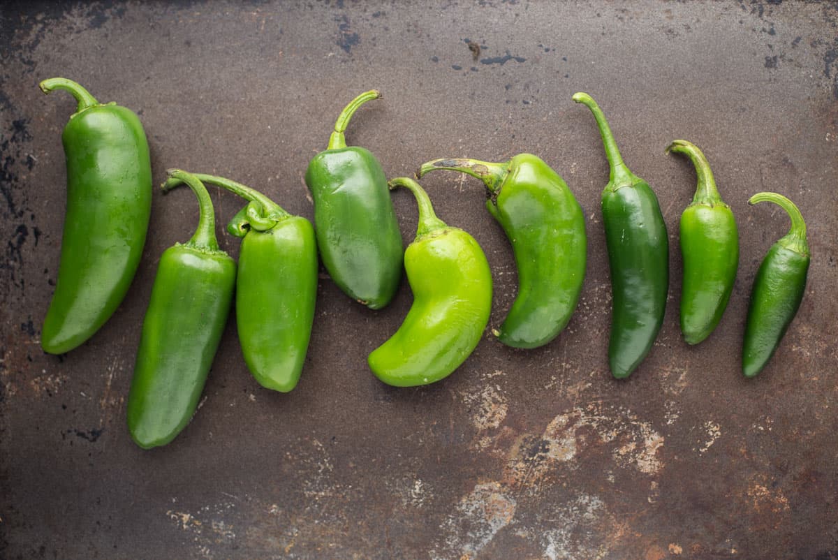 Size gradient of jalapeno poppers.