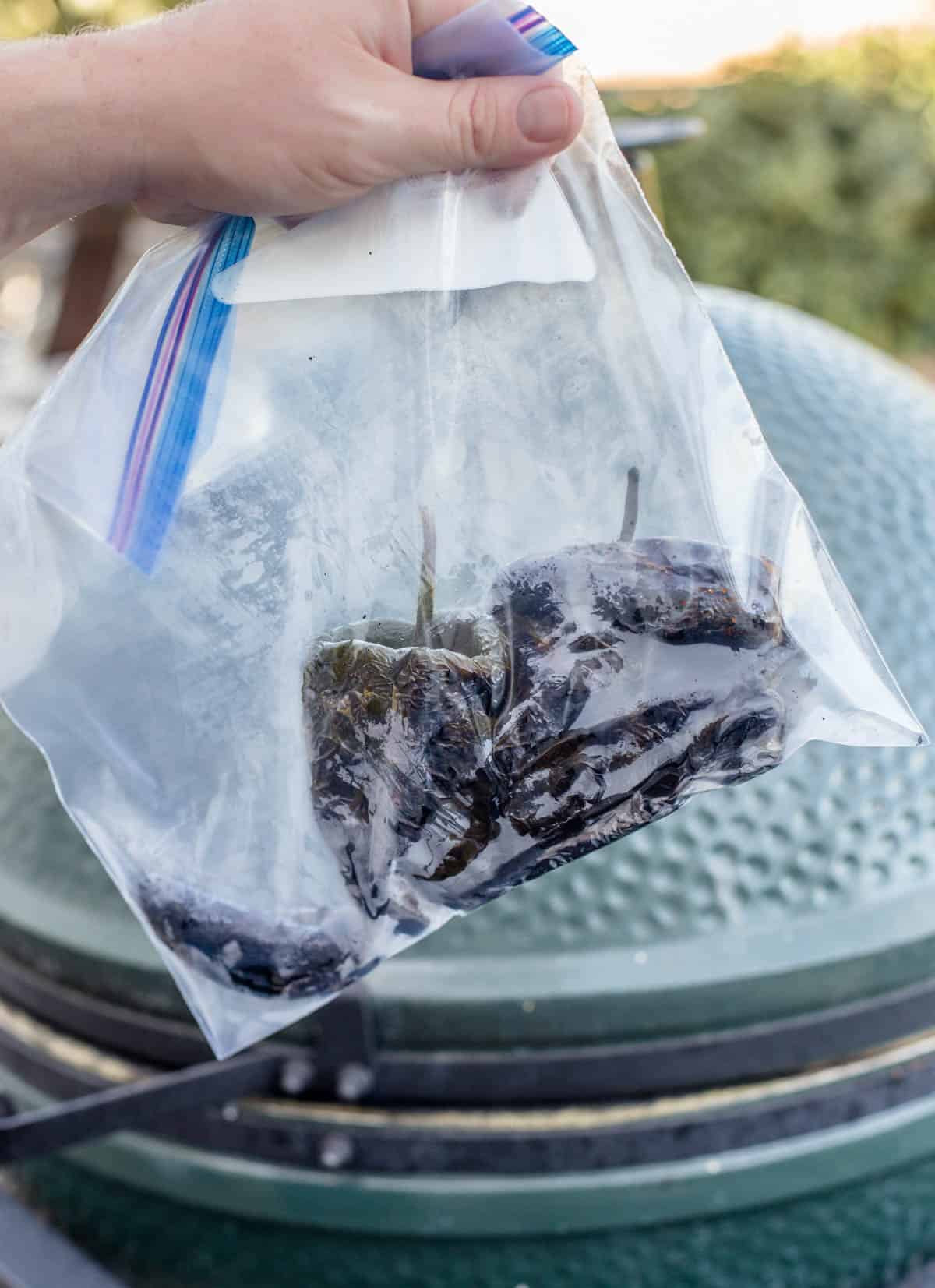 Roasted poblano peppers in a plastic baggie before peeling skin.