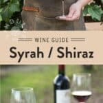 Syrah Wine Guide Pin