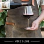 Syrah Wine Guide Pin