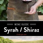 Syrah Wine Guide Pin