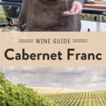 Cab franc Wine guide pin