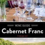 Cab franc Wine guide pin