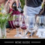 Cab franc Wine guide pin