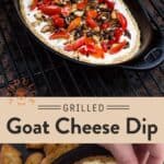 Goat Cheese Dip PIn