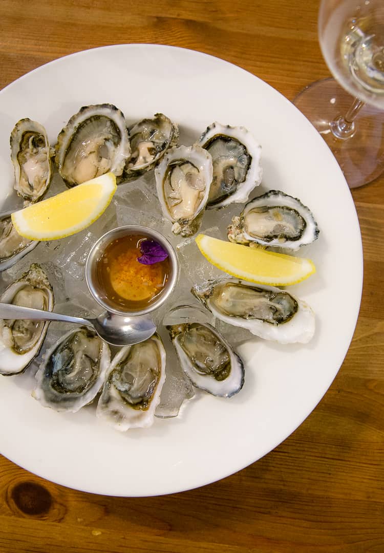 Oysters on a platter with a glass of Sauvignon Blanc wine
