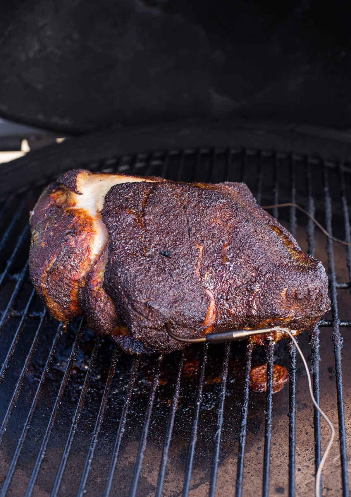 pork butt on the grill