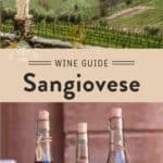 Sangiovese Wine Guide Pin