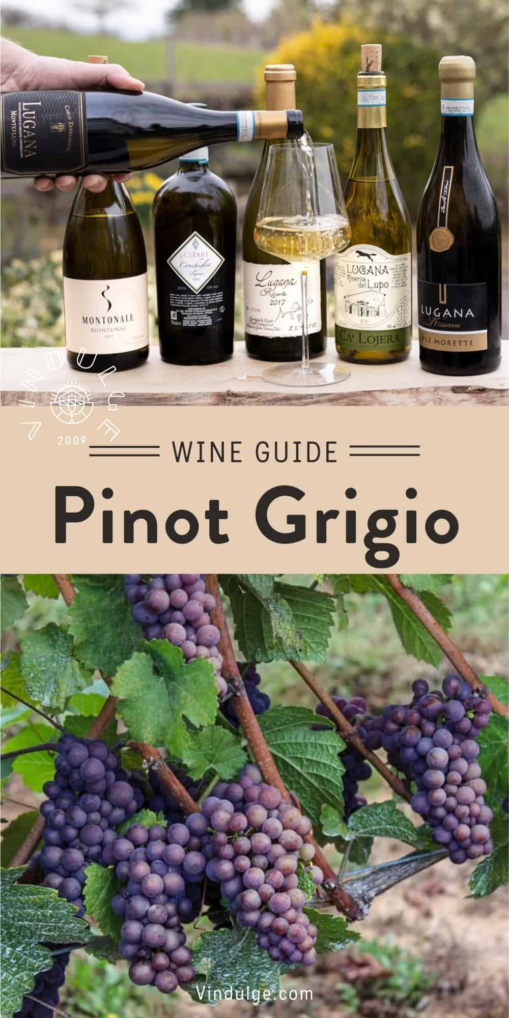 Pinot Gris (Pinot Grigio) Wine Guide Vindulge