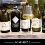 Pinot Grigio Wine Guide Pin