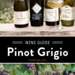 Pinot Grigio Wine Guide Pin