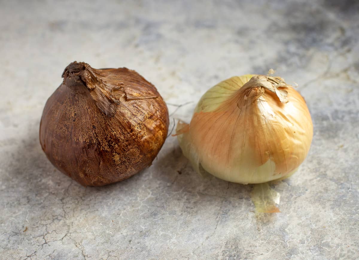 a smoked onion on a table next to a raw onion