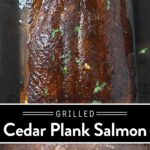 Grilled Cedar Plank Salmon