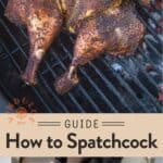 How to Spatchcock Chicken