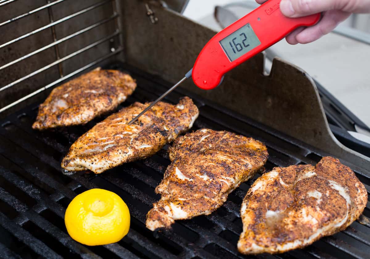 Taking temperature of boneless skinless chicken breast with Thermapen.