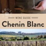 Chenin Blanc Wine Guide pin