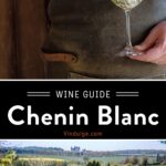 Chenin Blanc Wine Guide pin