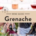 Grenache Wine Guide Pin