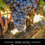 Grenache Wine Guide Pin