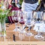 Grenache Wine Guide Pin